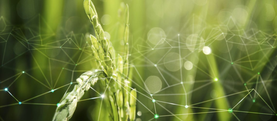 Sustainable farming with digital traceability network in Indian agriculture
